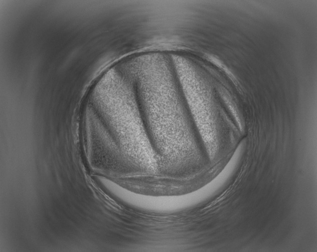 X0000082981459200702230020