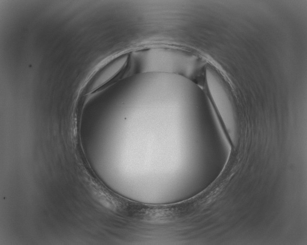 X0000082981461200702230020