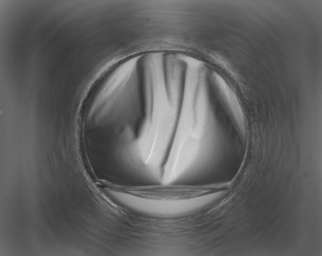 X0000082981463200702230020