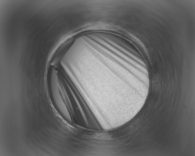 X0000082981464200702230020