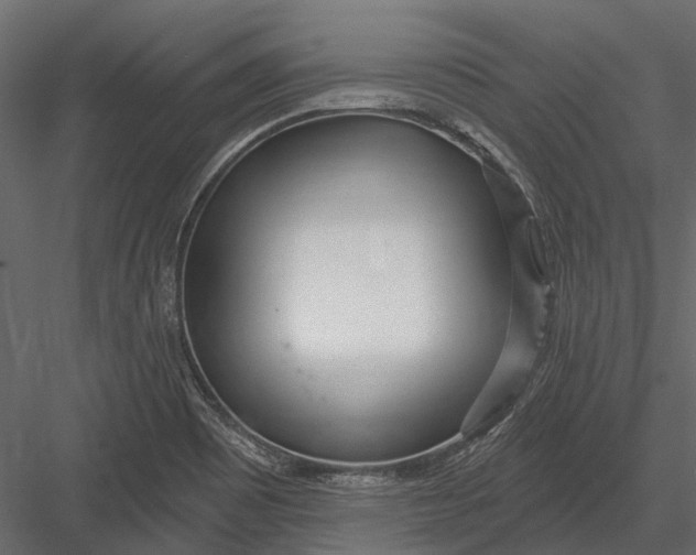 X0000082981465200702230020