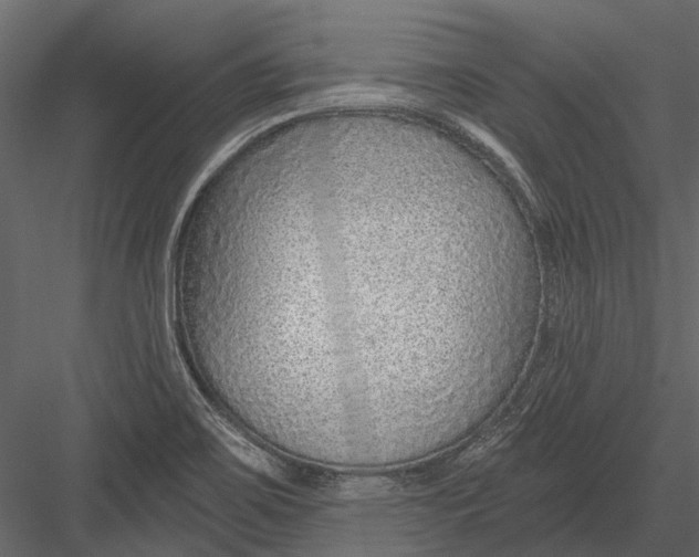 X0000082981467200702230020