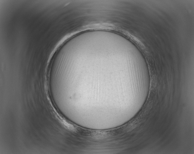 X0000082981470200702230020