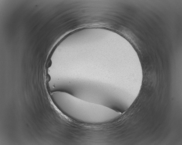 X0000082981476200702230020