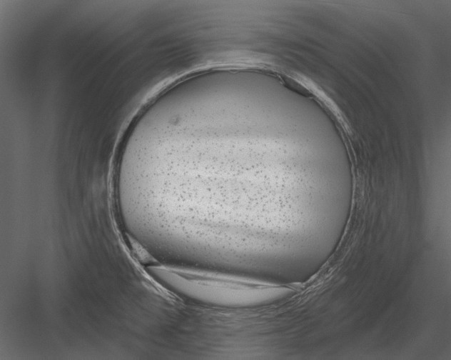 X0000082981477200702230020