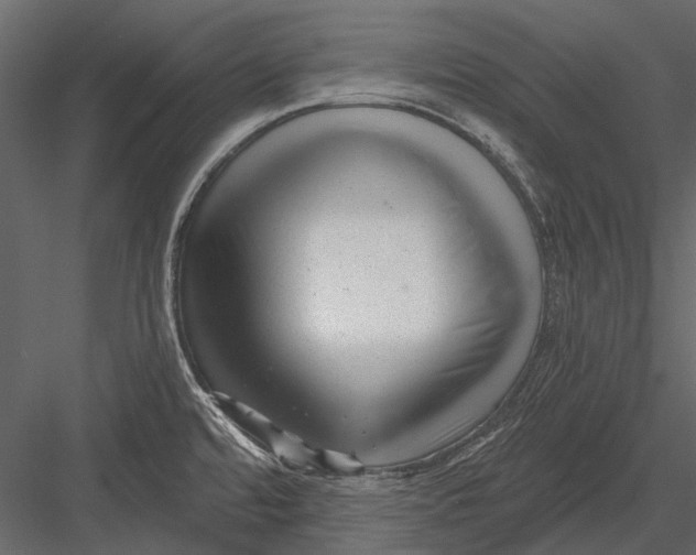 X0000082981480200702230020