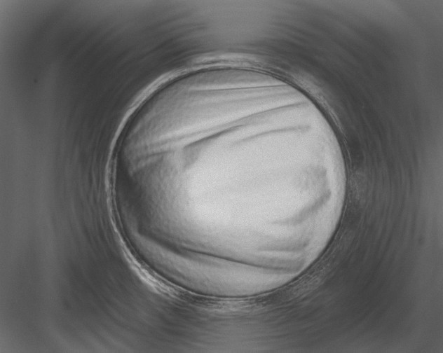 X0000082981482200702230020