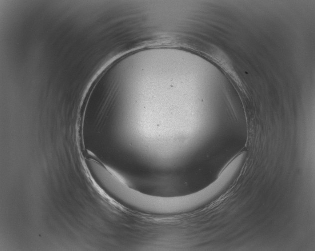 X0000082981484200702230020
