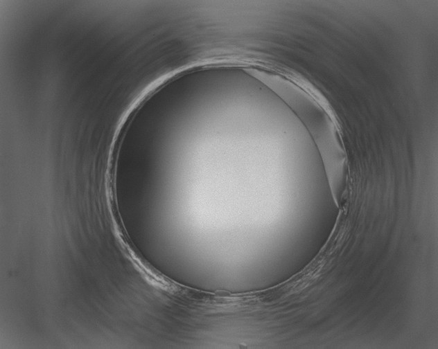 X0000082981485200702230020