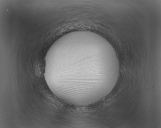 X0000082981490200702230019