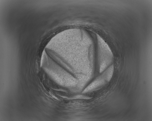 X0000082981493200702230019