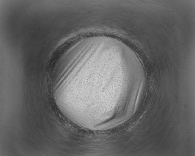 X0000082981494200702230019