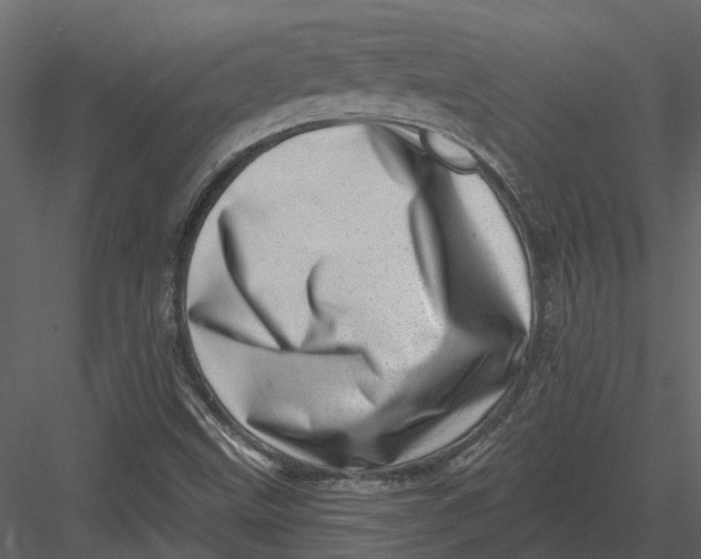 X0000082981499200702230019