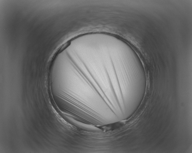 X0000082981500200702230019