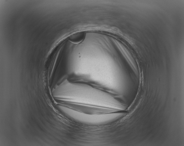 X0000082981501200702230019