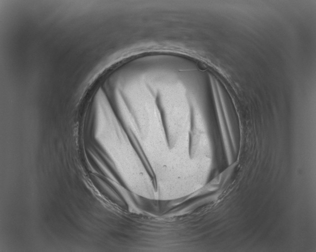 X0000082981503200702230019
