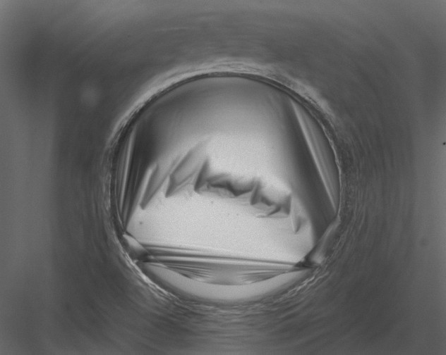 X0000082981504200702230019