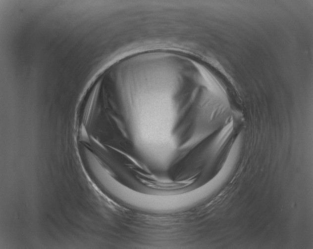 X0000082981508200702230019