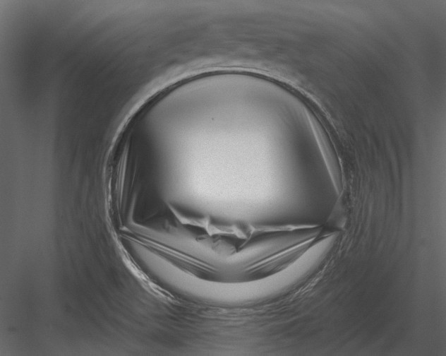 X0000082981511200702230020