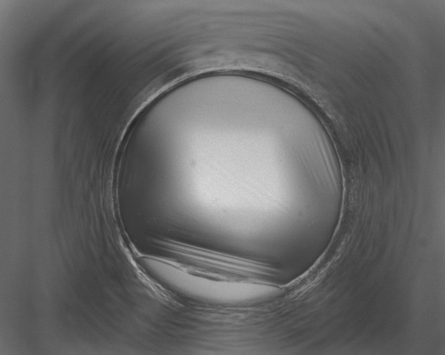 X0000082981513200702230020