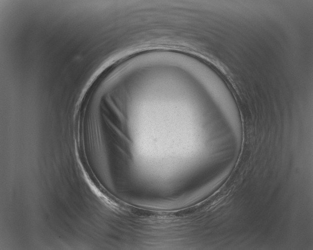 X0000082981515200702230020