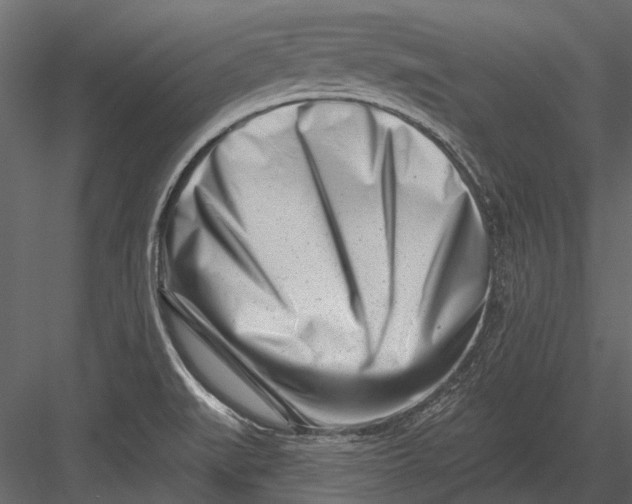 X0000082981519200702230020