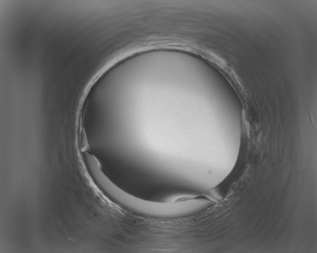 X0000082981520200702230020