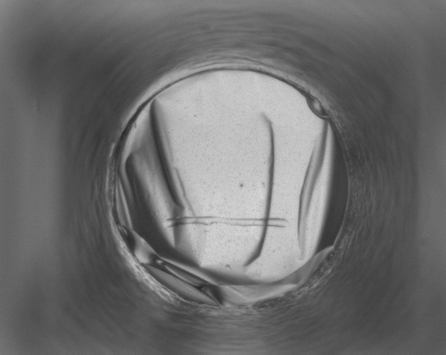 X0000082981526200702230020