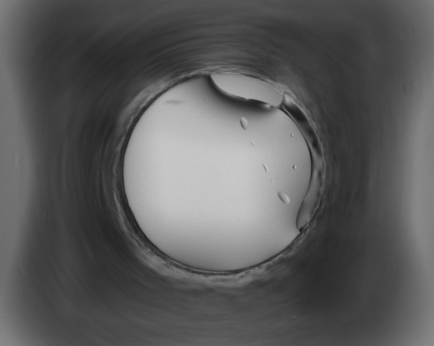 X0000082980001200703020307