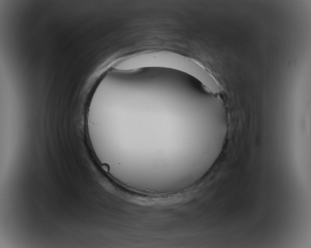 X0000082980005200703020307