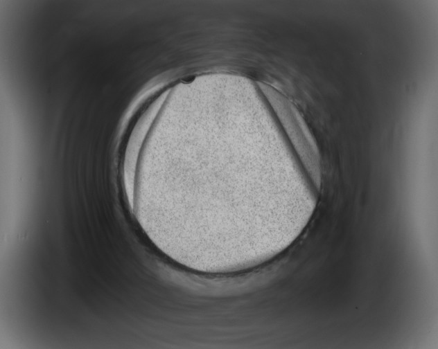 X0000082980006200703020307
