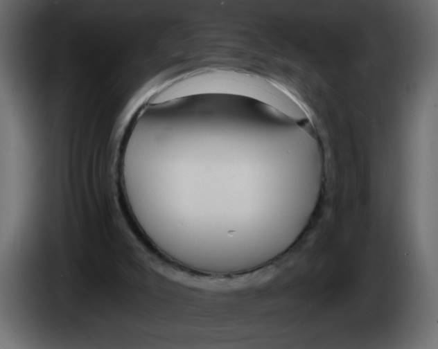 X0000082980007200703020307