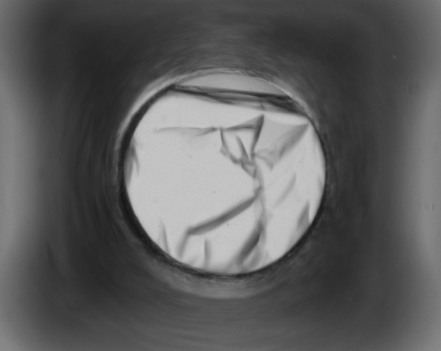 X0000082980008200703020307