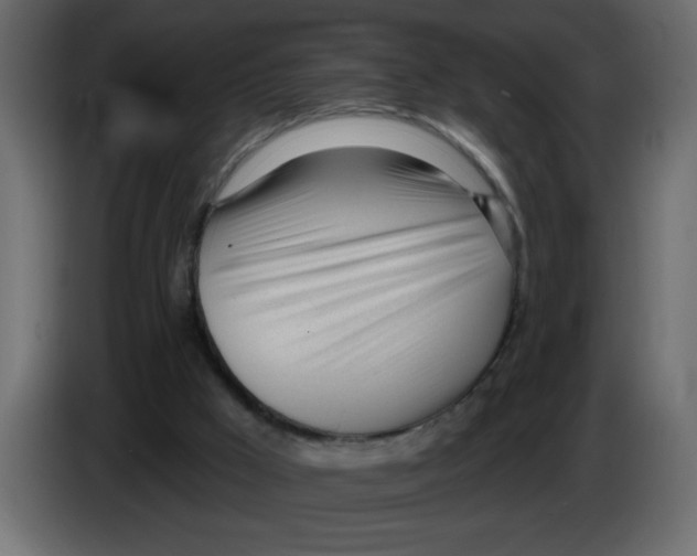 X0000082980009200703020307