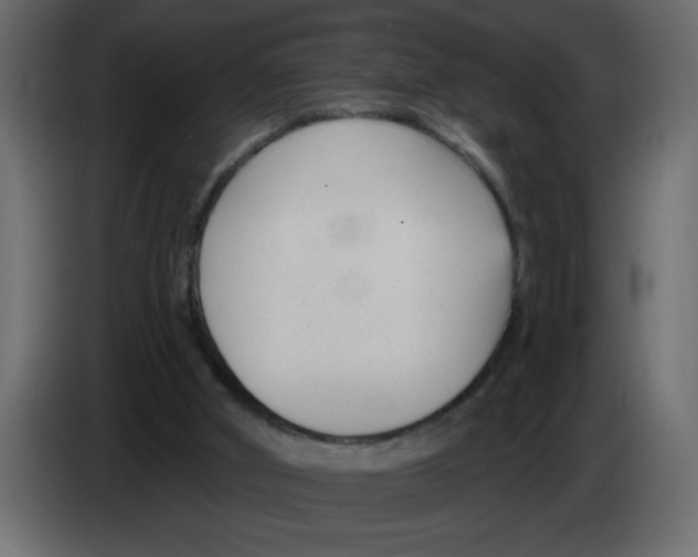 X0000082980010200703020307