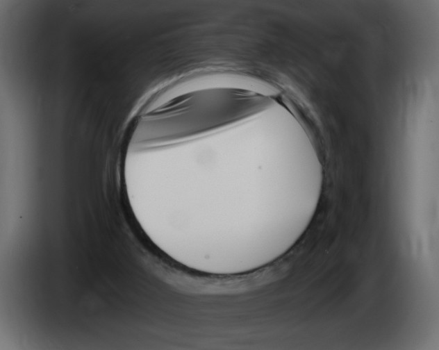 X0000082980011200703020307