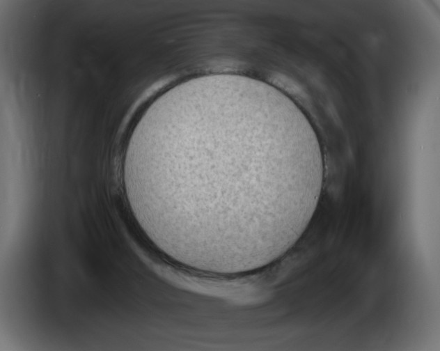 X0000082980012200703020307