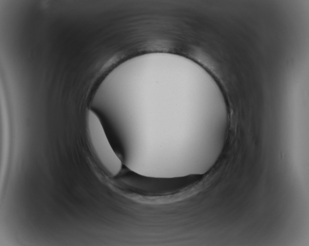 X0000082980013200703020307