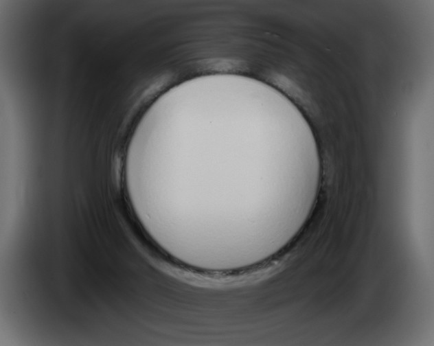 X0000082980014200703020307