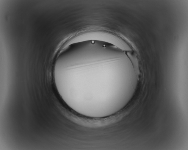 X0000082980015200703020307