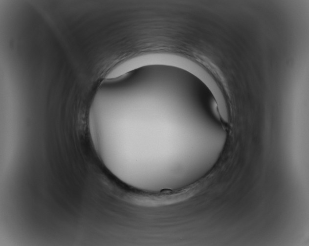 X0000082980017200703020307