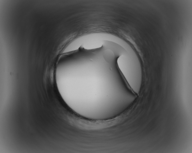X0000082980019200703020307