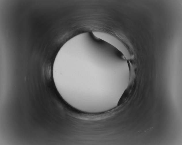 X0000082980021200703020307