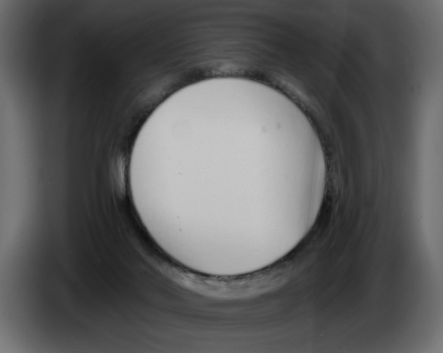 X0000082980022200703020307
