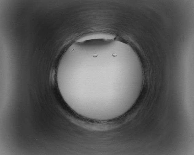 X0000082980024200703020307