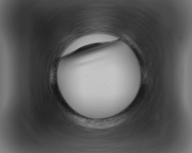 X0000082980026200703020307