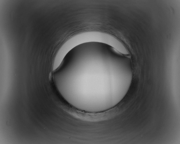 X0000082980027200703020307