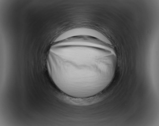 X0000082980030200703020307