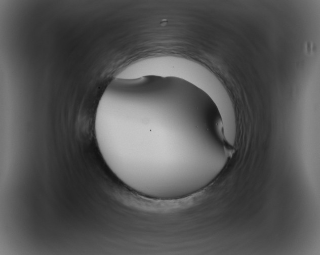 X0000082980031200703020307