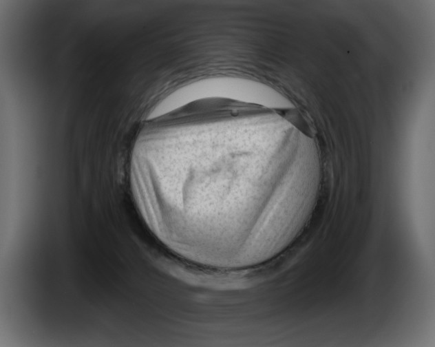X0000082980032200703020307